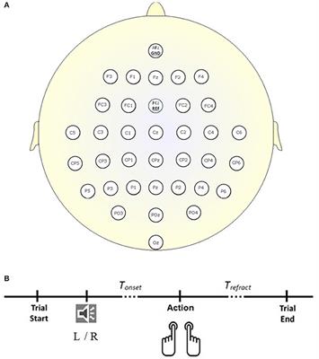A Ternary Brain-Computer Interface Based on Single-Trial Readiness Potentials of Self-initiated Fine Movements: A Diversified Classification Scheme